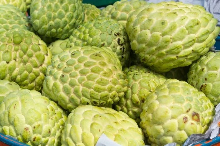 loi-ich-cach-chon-va-luu-y-khi-an-trai-cay-bo-duong-qua-na